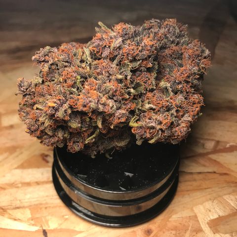 Purple Punch 🥊 4 - #1 - 42 Fast Buds growlog timeline photo