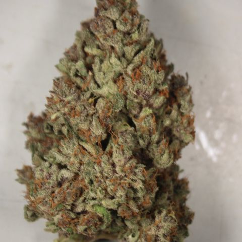 Purple Punch 🥊 4 - #1 - 42 Fast Buds growlog timeline photo