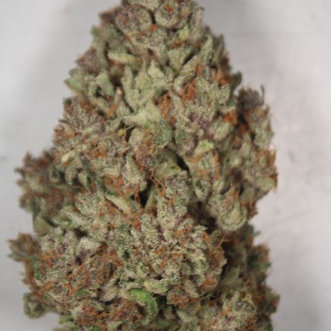 Purple Punch 🥊 4 - #1 - 42 Fast Buds growlog timeline photo