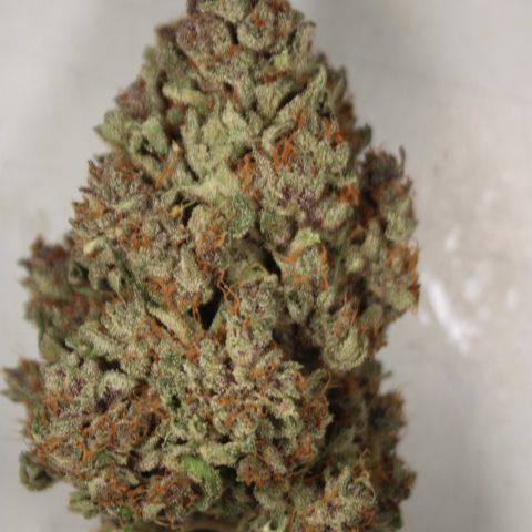 Purple Punch 🥊 4 - #1 - 42 Fast Buds growlog timeline photo