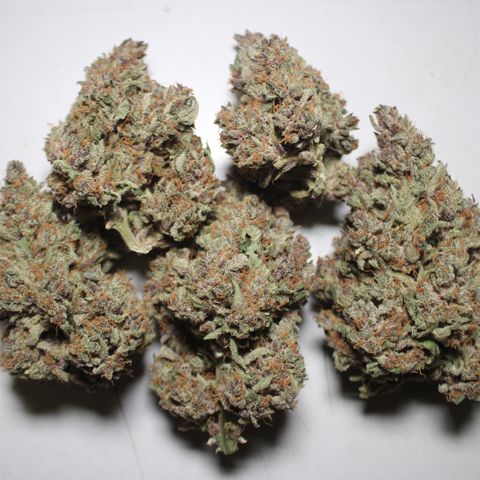 Purple Punch 🥊 4 - #1 - 42 Fast Buds growlog timeline photo