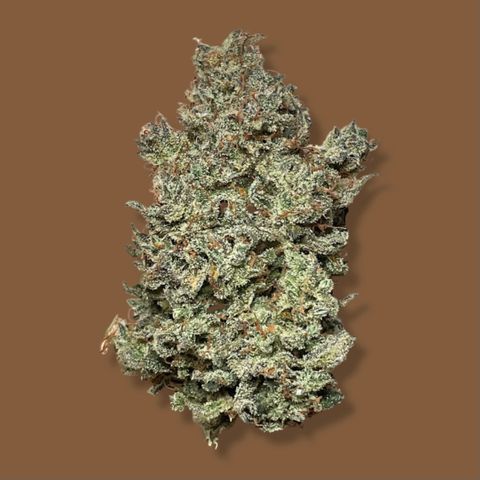 Mimosa Cake 🍰 2 - #1 - 42 Fast Buds growlog timeline photo