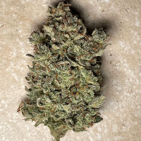 Mimosa Cake 🍰 2 - #1 - 42 Fast Buds growlog timeline photo