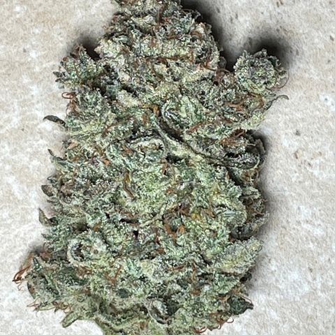 Mimosa Cake 🍰 2 - #1 - 42 Fast Buds growlog timeline photo