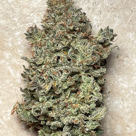 Mimosa Cake 🍰 2 - #1 - 42 Fast Buds growlog timeline photo