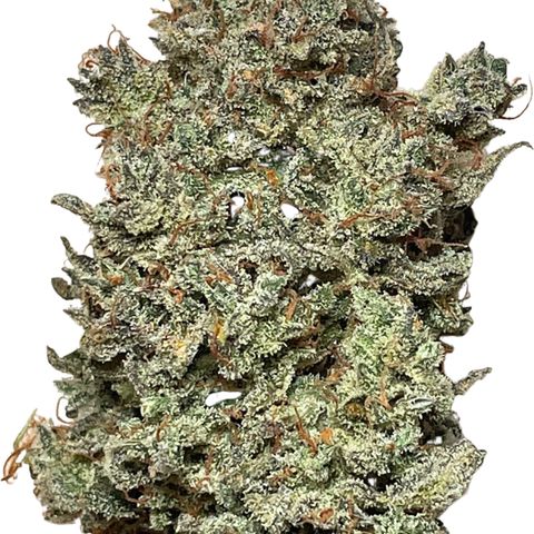Mimosa Cake 🍰 2 - #1 - 42 Fast Buds growlog timeline photo