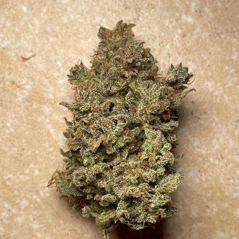 Mimosa Cake 🍰 2 - #1 - 42 Fast Buds growlog timeline photo
