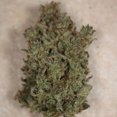 Mimosa Cake 🍰 2 - #1 - 42 Fast Buds growlog timeline photo