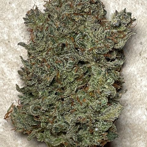 Mimosa Cake 🍰 2 - #1 - 42 Fast Buds growlog timeline photo