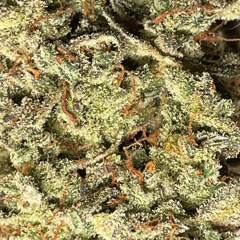 Mimosa Cake 🍰 2 - #1 - 42 Fast Buds growlog timeline photo