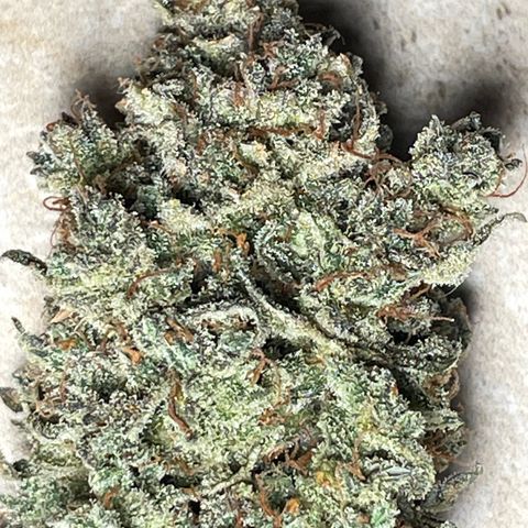 Mimosa Cake 🍰 2 - #1 - 42 Fast Buds growlog timeline photo