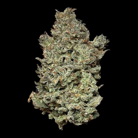 Mimosa Cake 🍰 2 - #1 - 42 Fast Buds growlog timeline photo