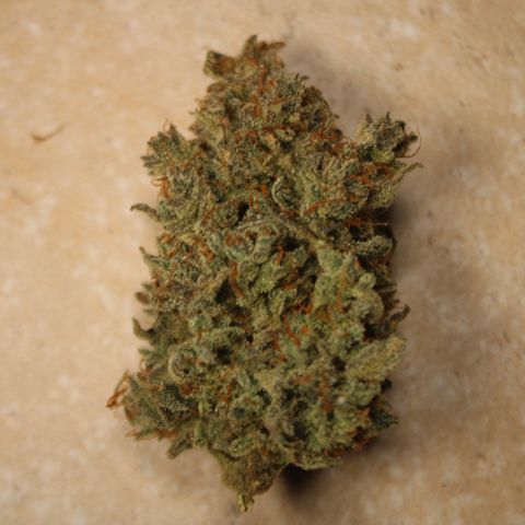 Mimosa Cake 🍰 2 - #1 - 42 Fast Buds growlog timeline photo