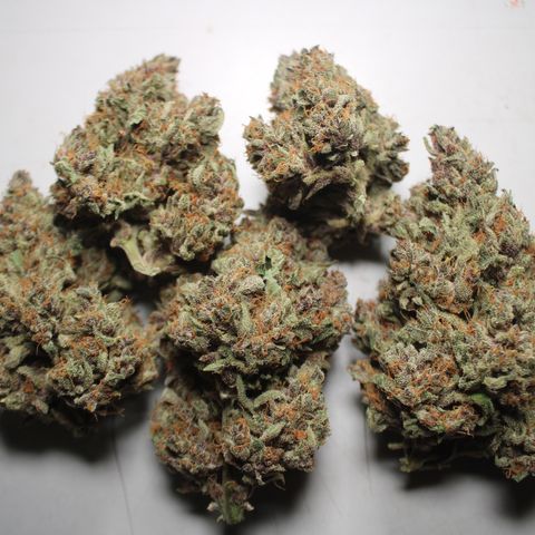 Purple Punch 🥊 4 - #1 - 42 Fast Buds growlog timeline photo