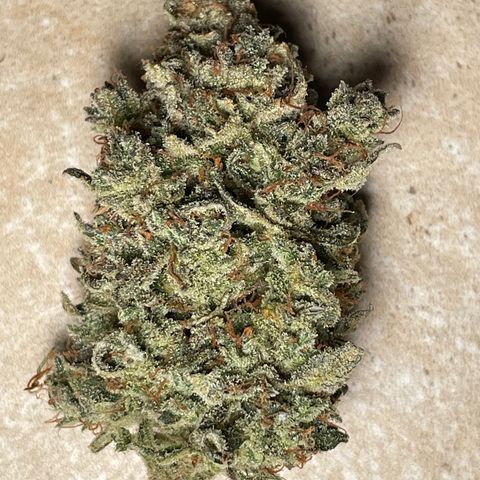 Mimosa Cake 🍰 2 - #1 - 42 Fast Buds growlog timeline photo