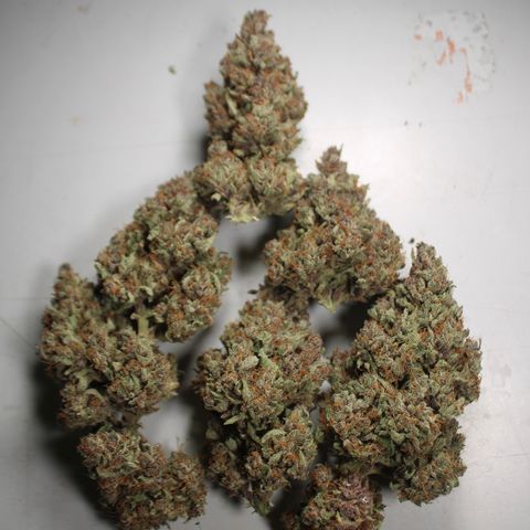 Purple Punch 🥊 4 - #1 - 42 Fast Buds growlog timeline photo