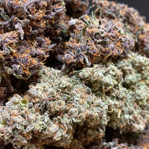 Purple Punch 🥊 2 - #1 - 42 Fast Buds growlog timeline photo