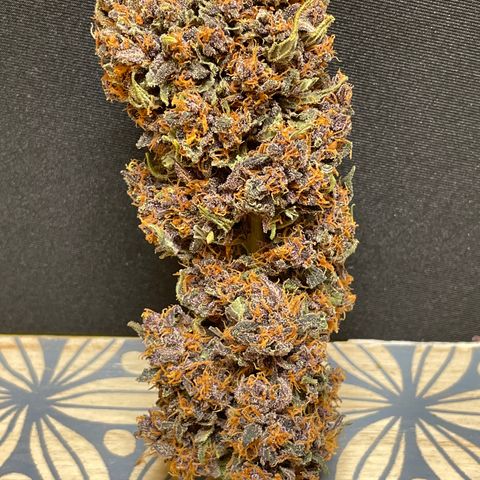 Purple Punch 🥊 2 - #1 - 42 Fast Buds growlog timeline photo