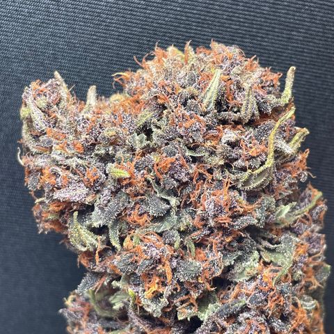 Purple Punch 🥊 2 - #1 - 42 Fast Buds growlog timeline photo