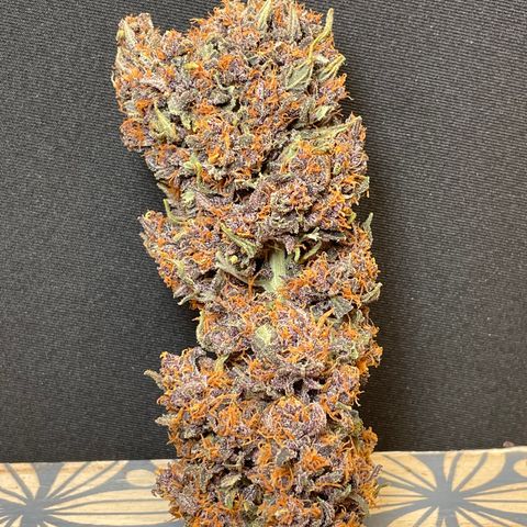 Purple Punch 🥊 2 - #1 - 42 Fast Buds growlog timeline photo