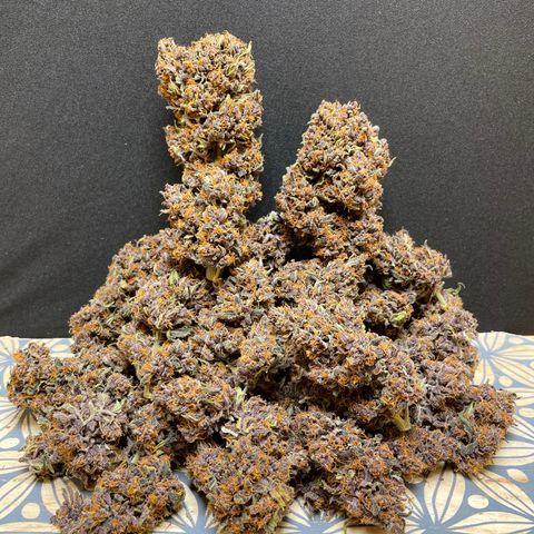 Purple Punch 🥊 2 - #1 - 42 Fast Buds growlog timeline photo