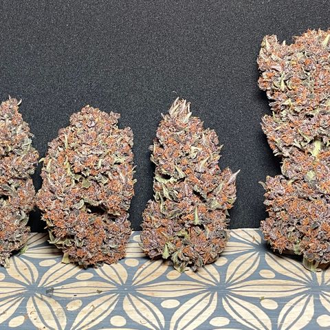 Purple Punch 🥊 2 - #1 - 42 Fast Buds growlog timeline photo