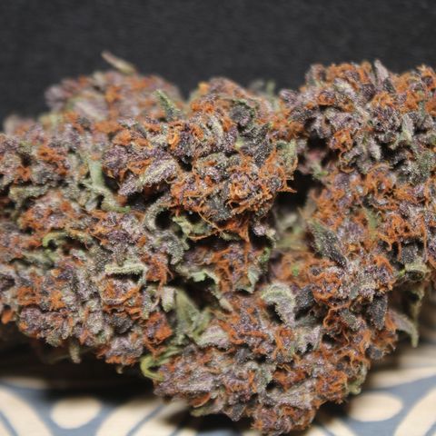 Purple Punch 🥊 2 - #1 - 42 Fast Buds growlog timeline photo