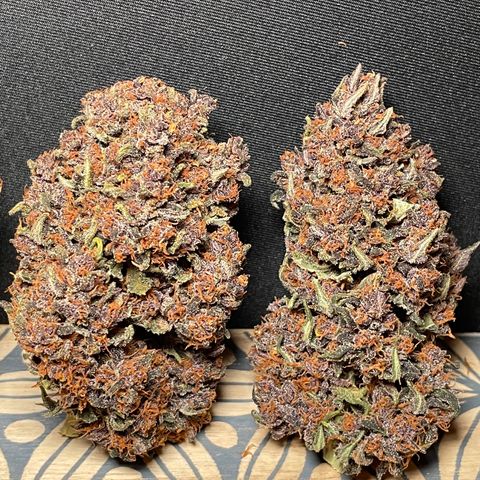 Purple Punch 🥊 2 - #1 - 42 Fast Buds growlog timeline photo