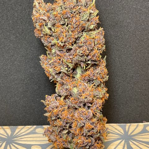 Purple Punch 🥊 2 - #1 - 42 Fast Buds growlog timeline photo