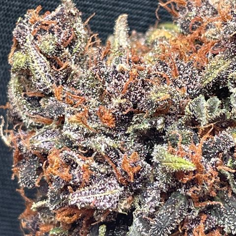 Purple Punch 🥊 2 - #1 - 42 Fast Buds growlog timeline photo