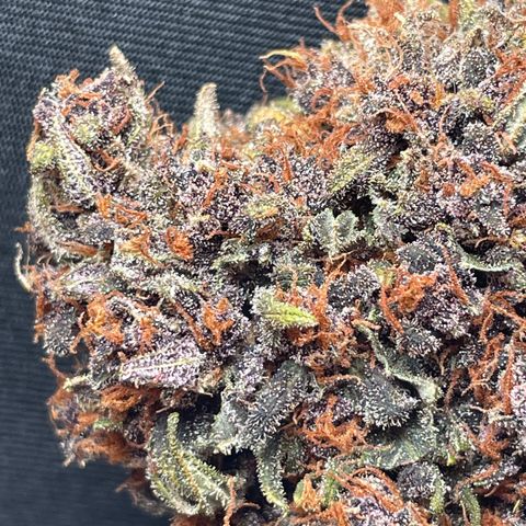 Purple Punch 🥊 2 - #1 - 42 Fast Buds growlog timeline photo