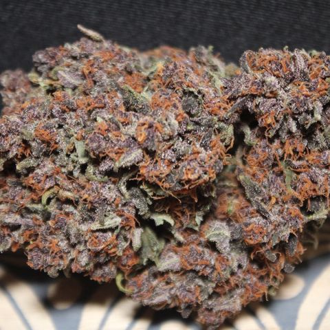 Purple Punch 🥊 2 - #1 - 42 Fast Buds growlog timeline photo