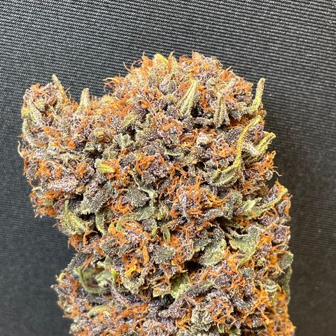 Purple Punch 🥊 2 - #1 - 42 Fast Buds growlog timeline photo