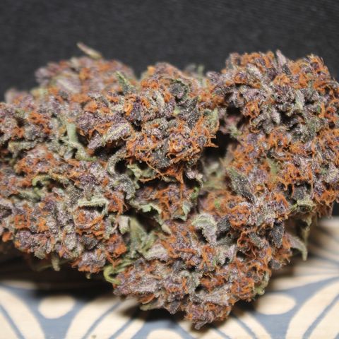 Purple Punch 🥊 2 - #1 - 42 Fast Buds growlog timeline photo