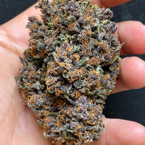 Purple Punch 🥊 2 - #1 - 42 Fast Buds growlog timeline photo