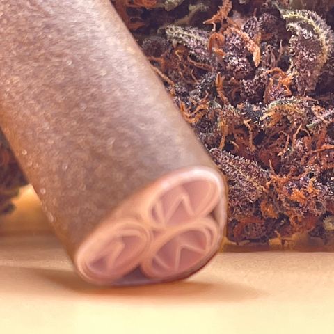 Mimosa Cake 🍰 4 - #1 - 42 Fast Buds growlog timeline photo