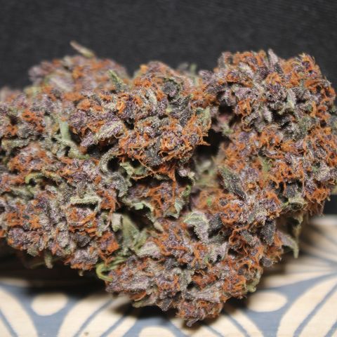 Purple Punch 🥊 2 - #1 - 42 Fast Buds growlog timeline photo
