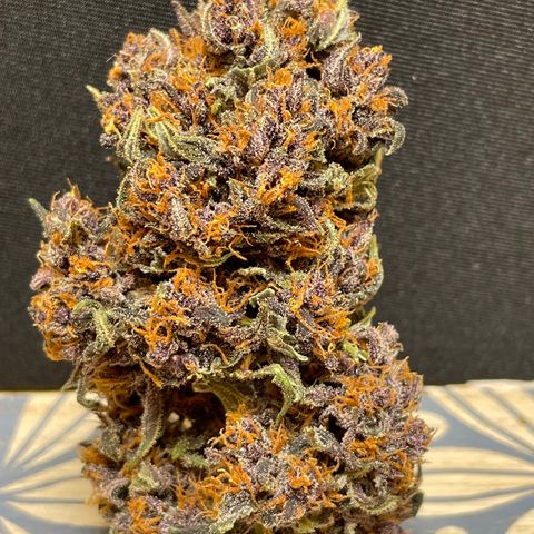 Purple Punch 🥊 2 - #1 - 42 Fast Buds growlog timeline photo