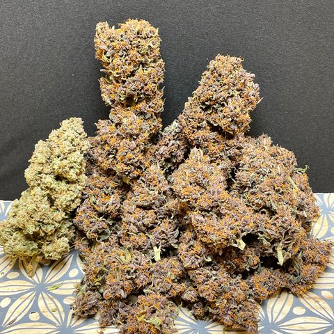 Purple Punch 🥊 2 - #1 - 42 Fast Buds growlog timeline photo