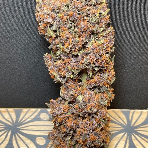 Purple Punch 🥊 2 - #1 - 42 Fast Buds growlog timeline photo