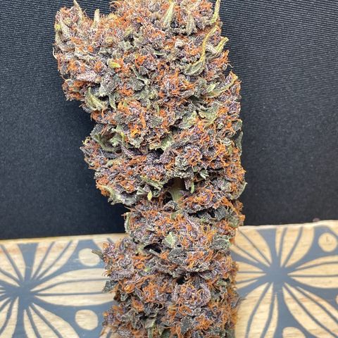 Purple Punch 🥊 2 - #1 - 42 Fast Buds growlog timeline photo