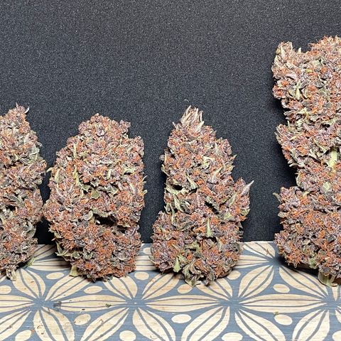 Purple Punch 🥊 2 - #1 - 42 Fast Buds growlog timeline photo