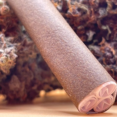 Mimosa Cake 🍰 4 - #1 - 42 Fast Buds growlog timeline photo