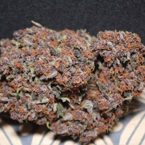 Purple Punch 🥊 2 - #1 - 42 Fast Buds growlog timeline photo
