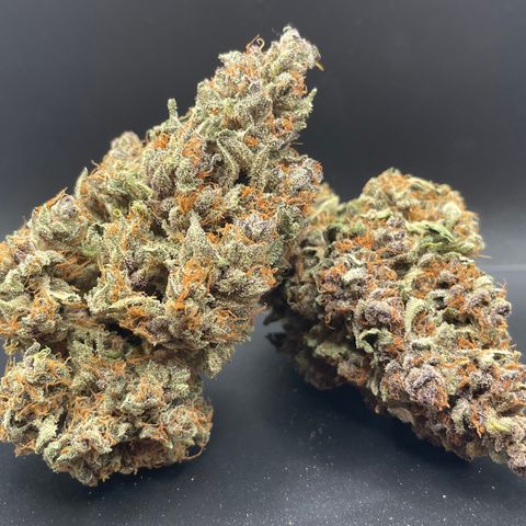 Purple Punch 🥊 4 - #1 - 42 Fast Buds growlog timeline photo