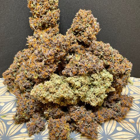 Purple Punch 🥊 2 - #1 - 42 Fast Buds growlog timeline photo