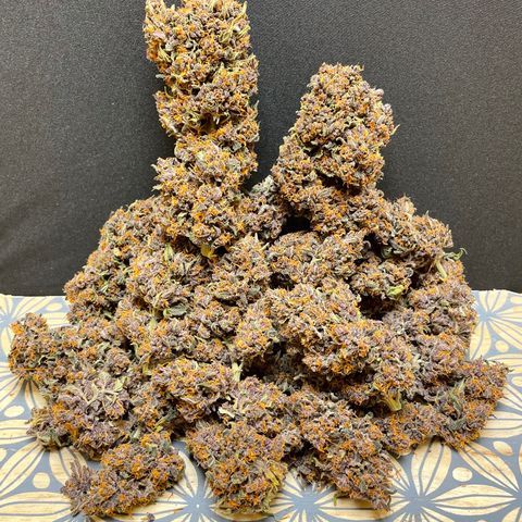 Purple Punch 🥊 2 - #1 - 42 Fast Buds growlog timeline photo