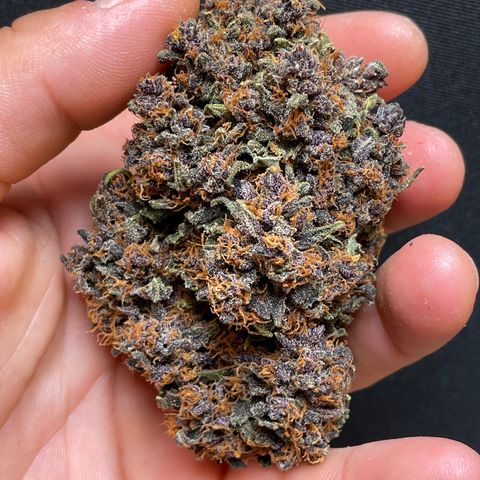 Purple Punch 🥊 2 - #1 - 42 Fast Buds growlog timeline photo