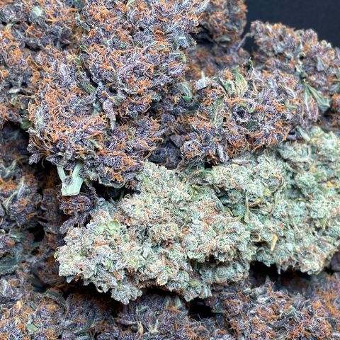 Purple Punch 🥊 2 - #1 - 42 Fast Buds growlog timeline photo