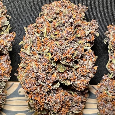 Purple Punch 🥊 2 - #1 - 42 Fast Buds growlog timeline photo